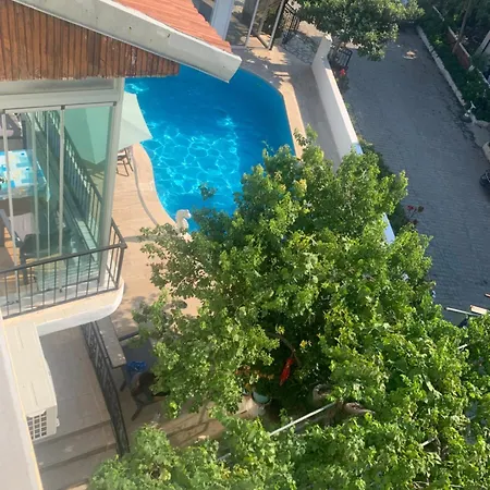 Kristal * ダルヤン